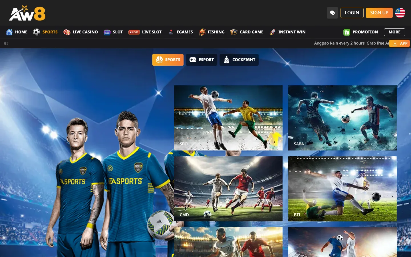 AW8 Pro sportsbook providers